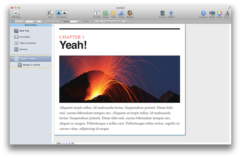 Illustration for article titled Apple's iPad Textbooks: Everything You Need to Know About iBooks 2